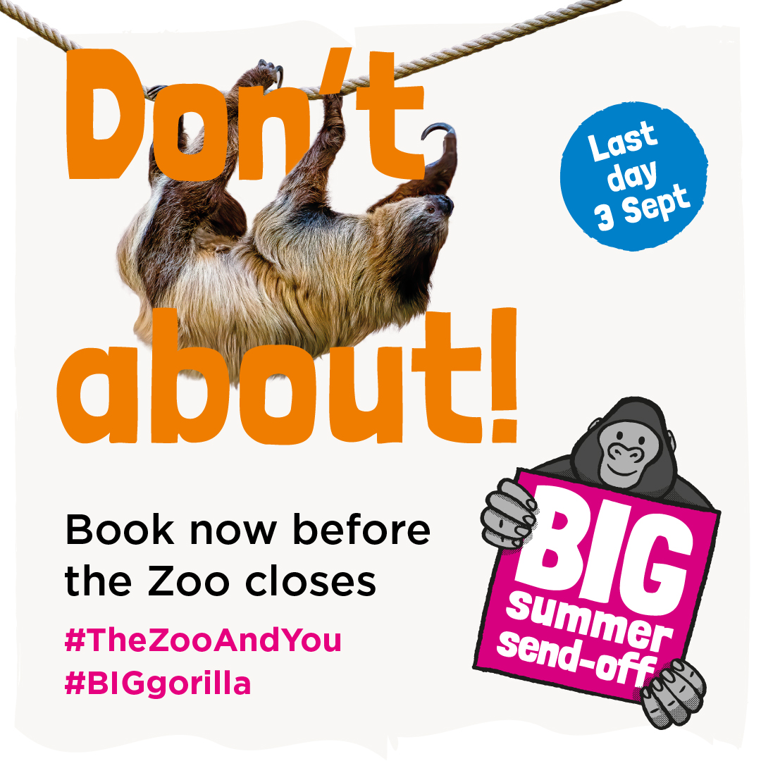 Artwork of a sloth hanging on a rope reading don't hang about book now before the Zoo closes